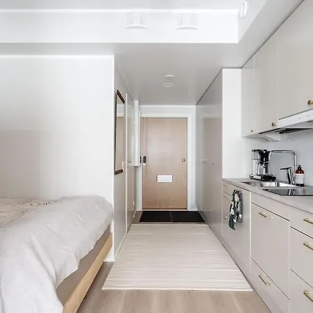 Appartement Kaunis Ja Toimiva Uusi Yksioe *